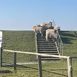 Lejlighed Luettjeseeblick13 *